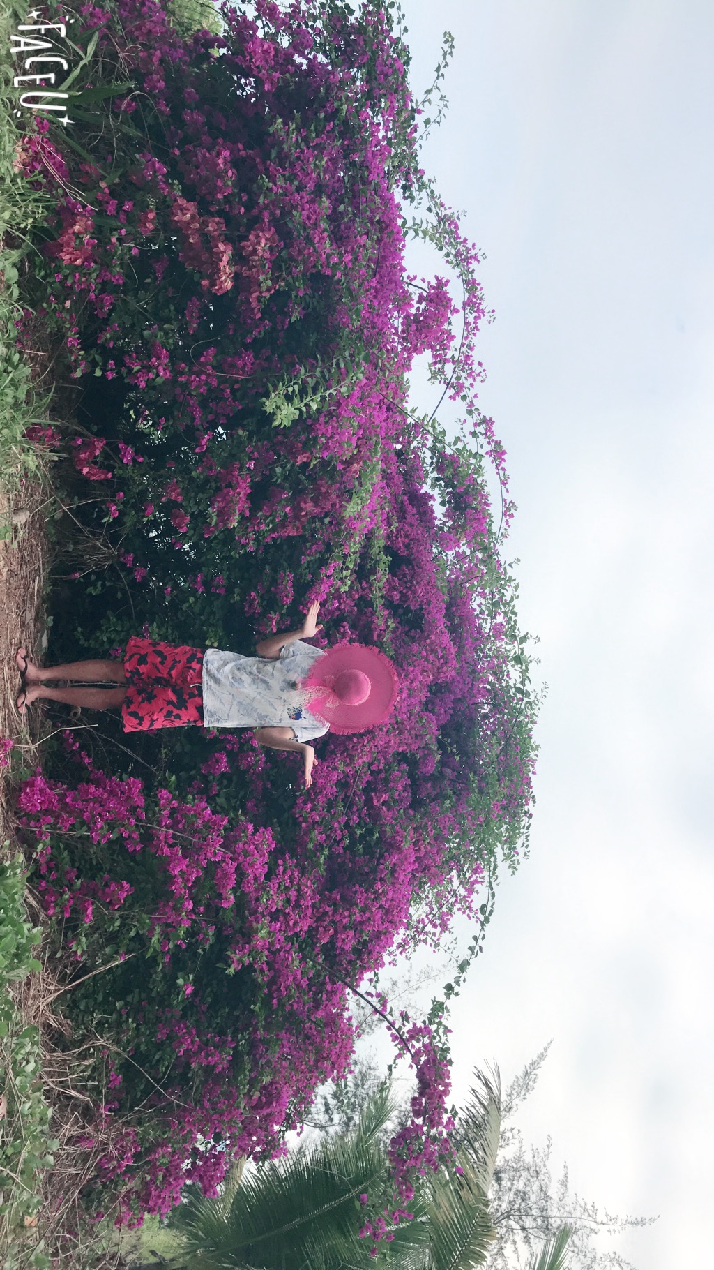 花•美•男